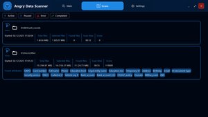 Angry Data Scanner - Scanning results and data detection interface