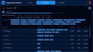 Angry Data Scanner - File scanning and PII detection view